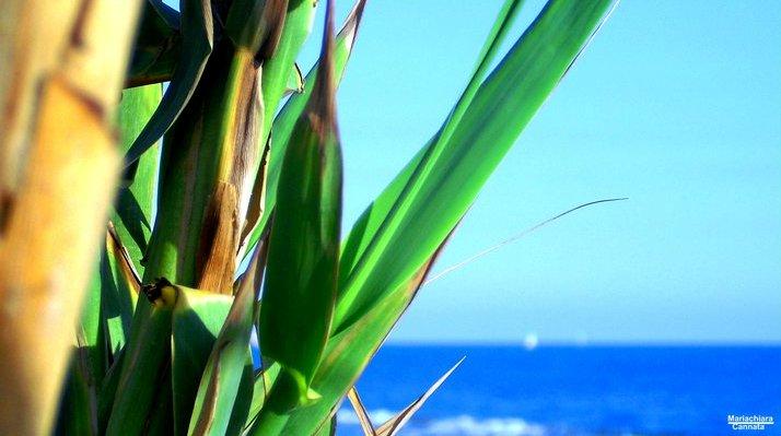 "Un Nuovo Orizzonte..."