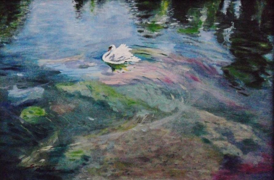  RIFLESSI SU PONTE DANTE