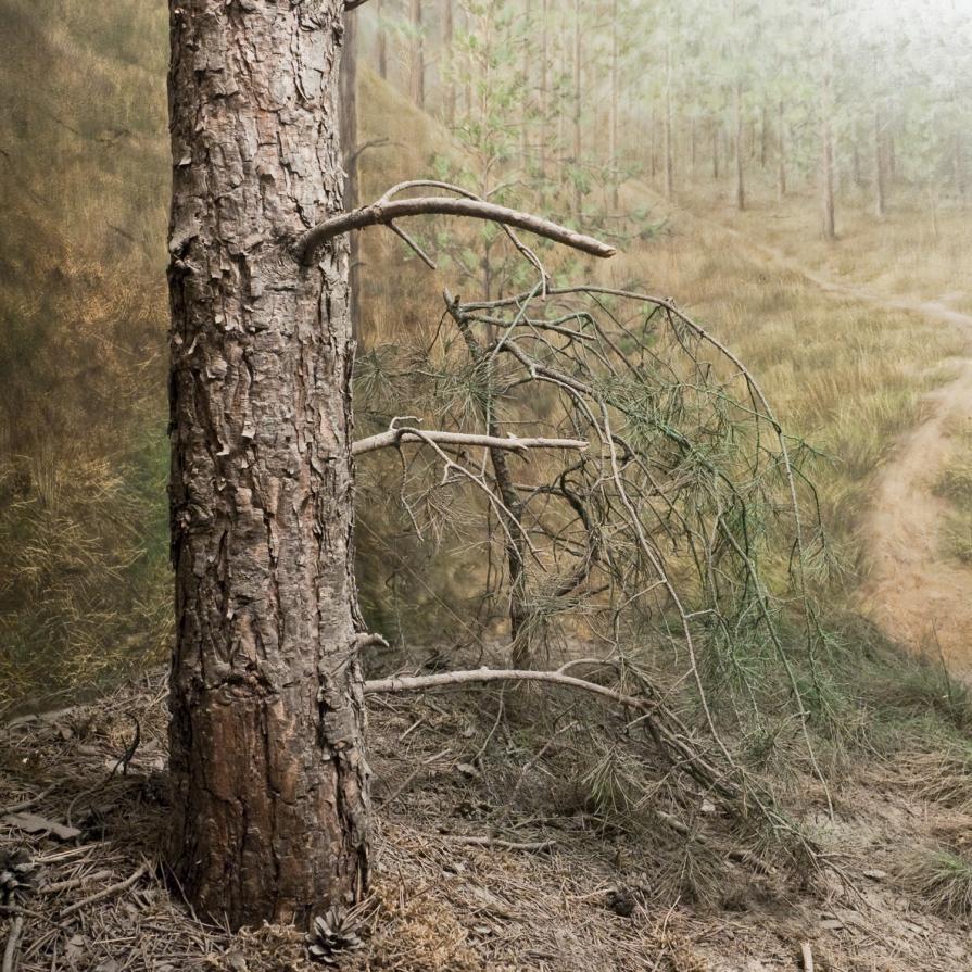 Post Arcadia 7 Post Arcadia 7