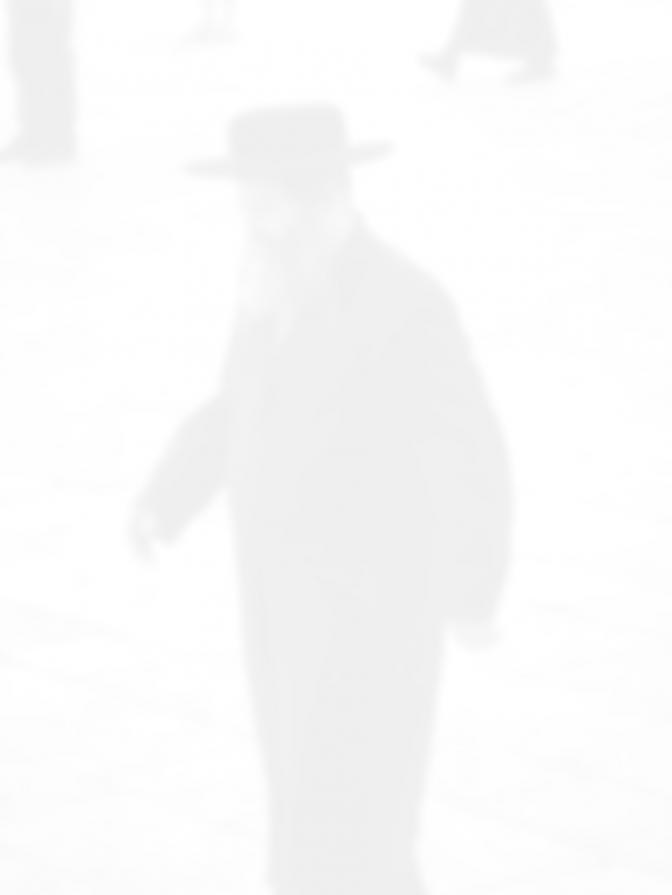 MISTical@FOCUS 6 MISTical@FOCUS 6