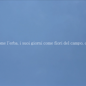 L’uomo come l'erba, i suoi giorni come fiori del campo, così fiorirà