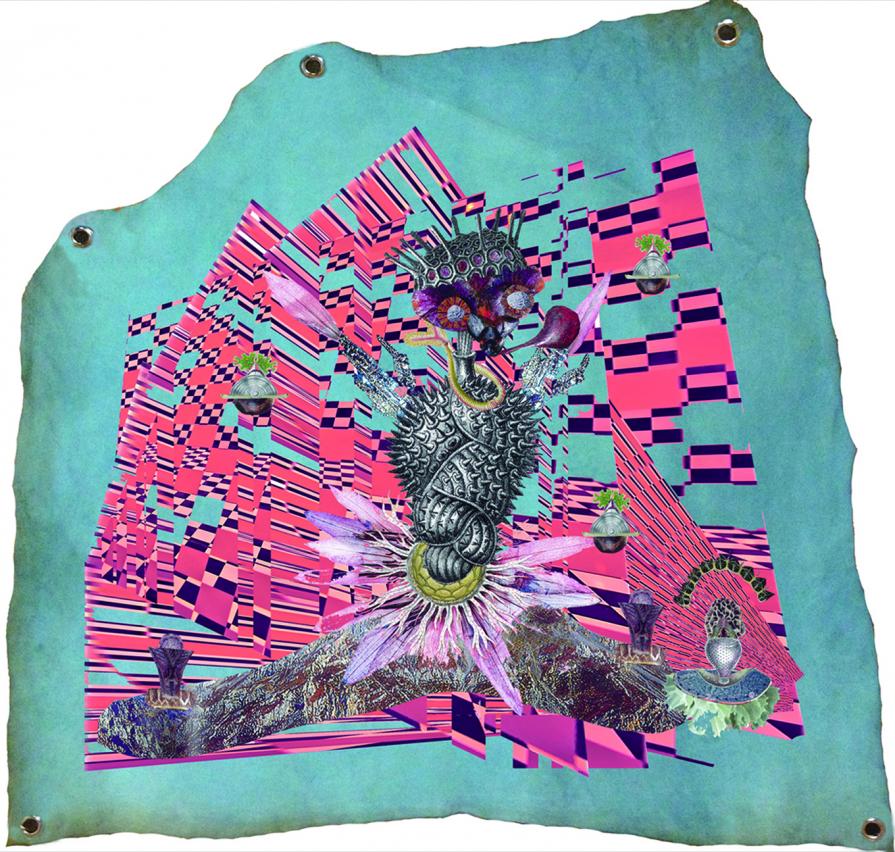 Canis-Demensu to morning all Canis-Demensu to morning all