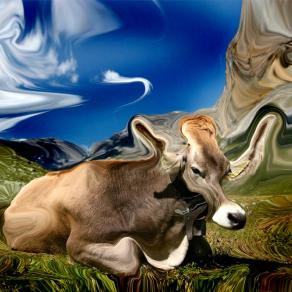 muuuuuuuutano le mucche ,OMG funziona.....