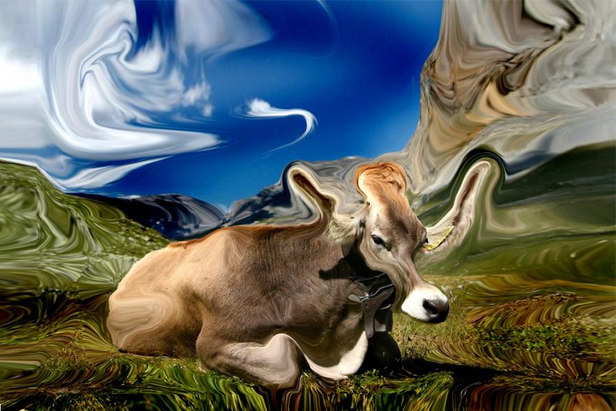 muuuuuuuutano le mucche ,OMG funziona.....