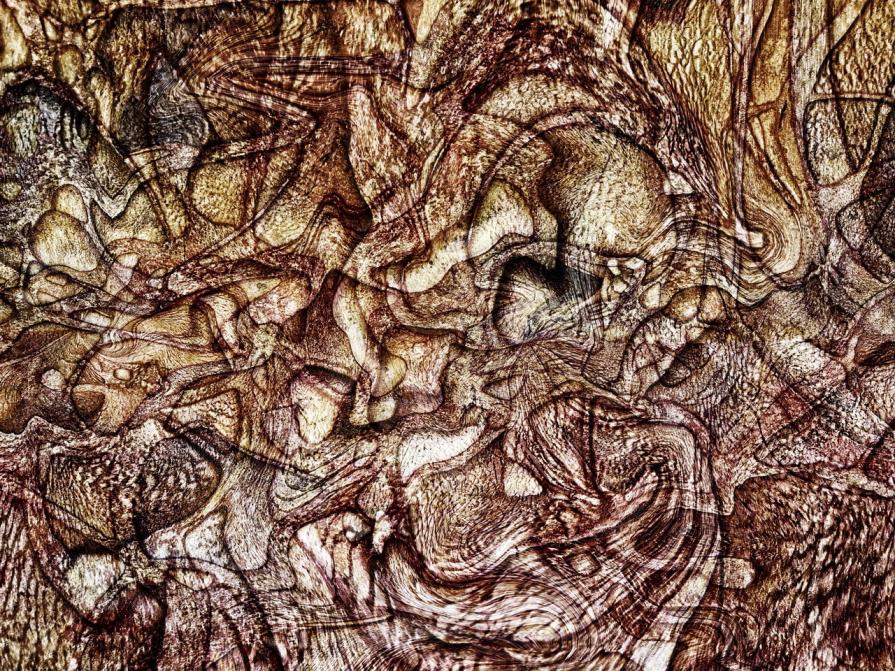 Il labirinto dell'ultimo sopravvissuto 