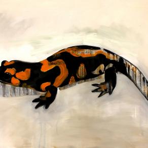 Salamandra 