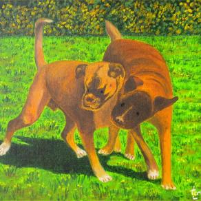 LG 0212 - Lillo e Dada, i boxerini