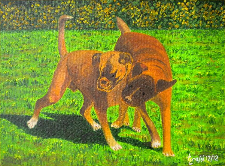 LG 0212 - Lillo e Dada, i boxerini