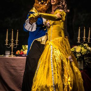 The Beauty and The Beast 