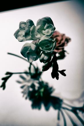 Triste primavera   (Sad Spring) 