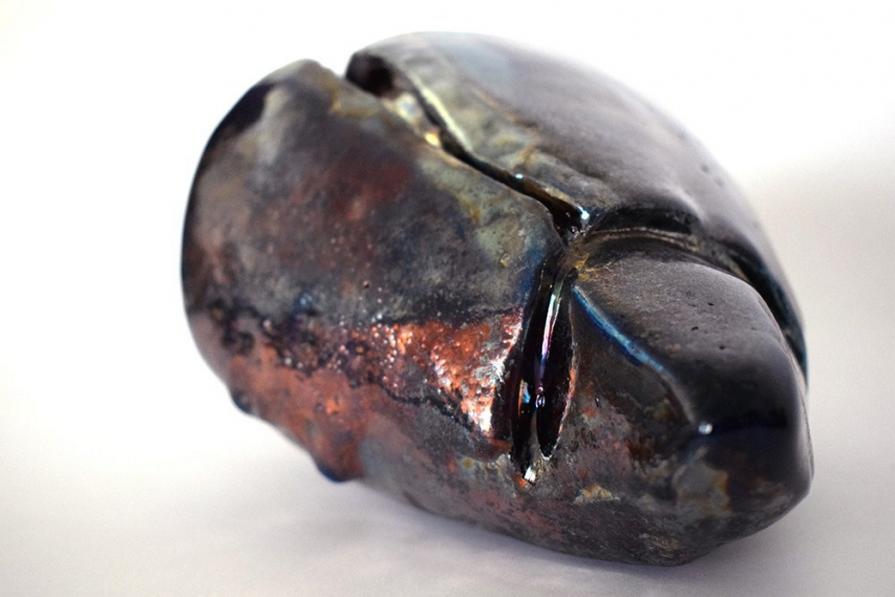 conchiglia2 conchiglia2