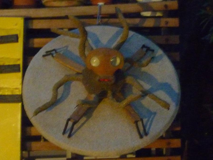 POLIPO ANFIBIO POLIPO ANFIBIO