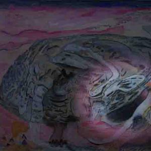 wieviel mal Sie haben mich geirrt - was wollen Sie - Sie können alles- 