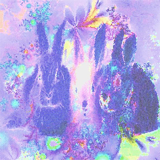 Prove di primavera...!!!