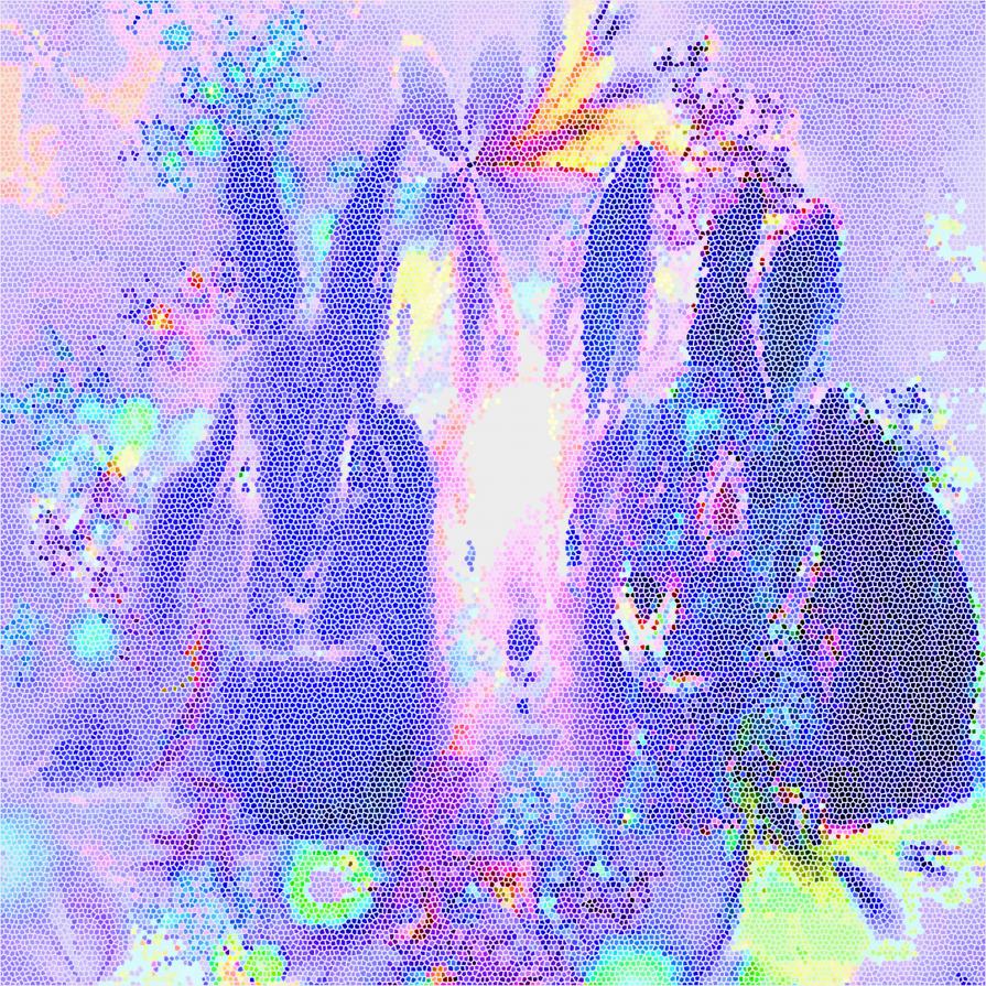 Prove di primavera...!!!