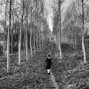 Little Human Artworks Little Human Artworks