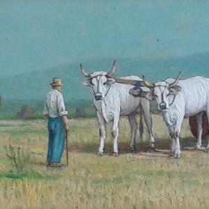 ROLANDO CROCIANI ed altri labronici ROLANDO CROCIANI ed altri labronici