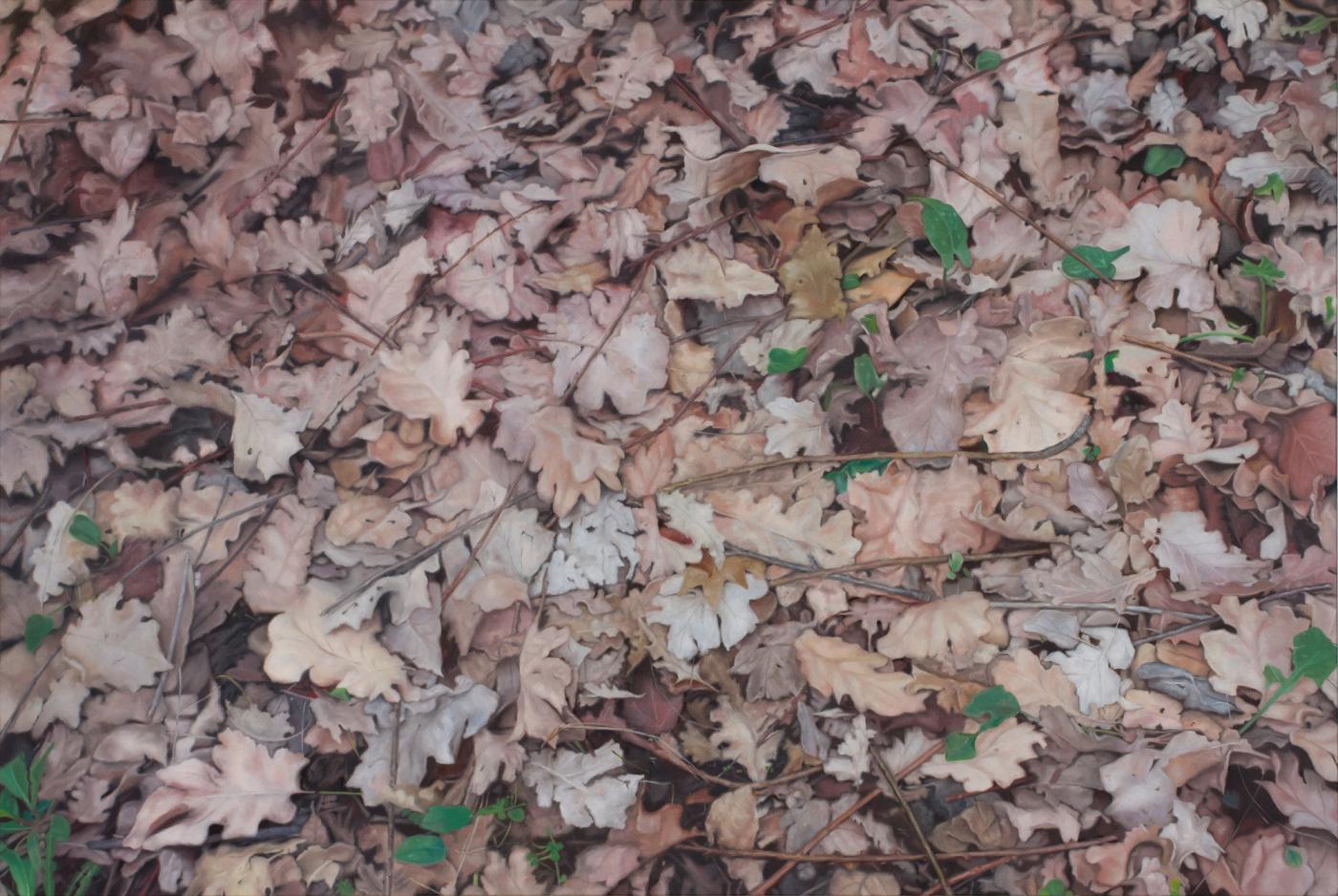 Elena Giustozzi - Vicinanze Elena Giustozzi - Vicinanze