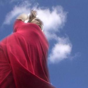 Langwasser Kunst Preis-  In Aria