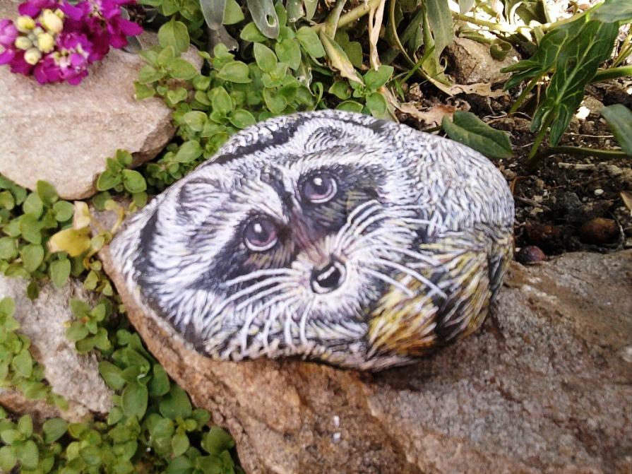 " Ulisse ", piccolo Orsetto Lavatore.