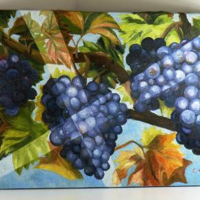 Uva con raggi di sole