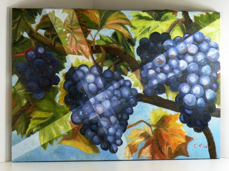 Uva con raggi di sole