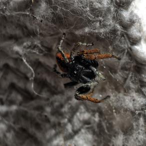 La mia vita dipende da te 