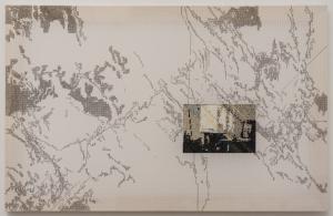 Ana Maria Micu Micu - Homemade Cure for Digital Spleen