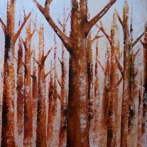 The Enchanted Forest The Enchanted Forest