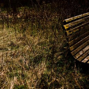 Down by The River Down by The River