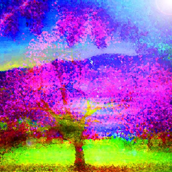 Semina la gentilezza, cogli la gioia, coltiva la serenità...!!!