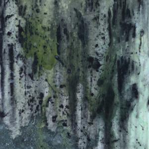 Aphrodite PRIZE 2013