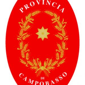 FESTIVAL VITÆ- 1^ Edizione FESTIVAL VITÆ- 1^ Edizione