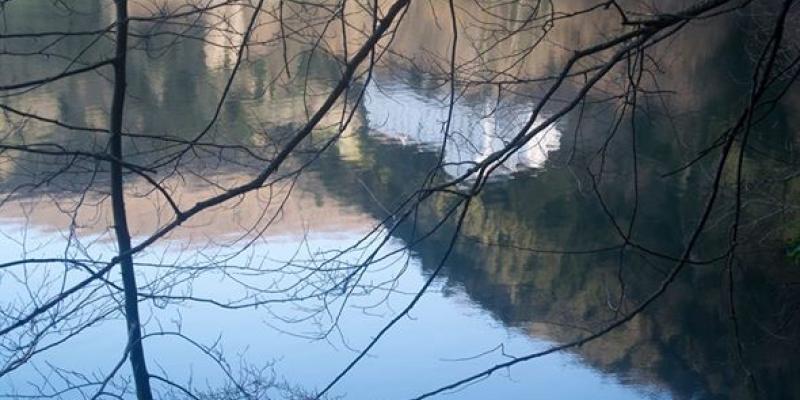 COMUNICARE DI FOTOGRAFIA: DALL'ANALOGICO AL DIGITALE (personale di fotografia di Edoardo Angrisani) 10 Agosto 2014, Museo di Storia Naturale del Vulture, Monticchio (Pz). COMUNICARE DI FOTOGRAFIA: DALL'ANALOGICO AL DIGITALE (personale di fotografia di Edoardo Angrisani) 10 Agosto 2014, Museo di Storia Naturale del Vulture, Monticchio (Pz).