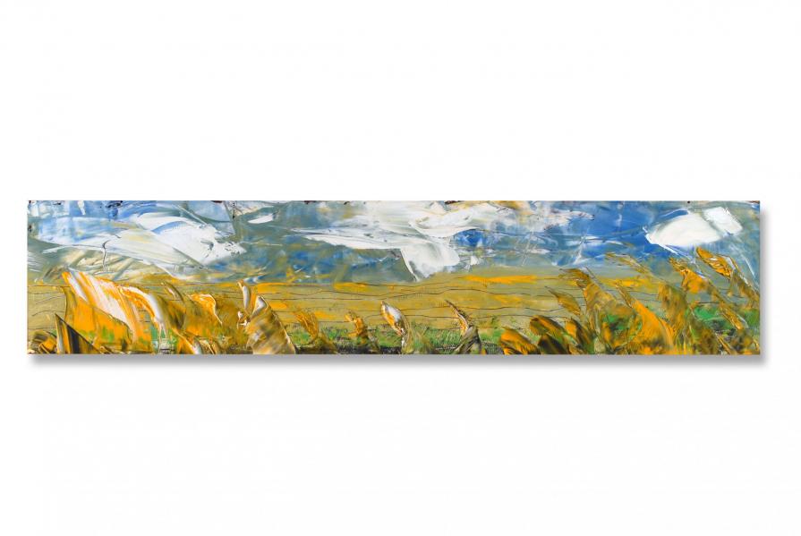 La campagna di Auvers