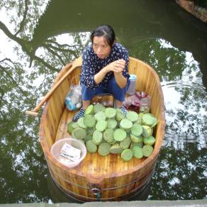 Venditrice di semi di loto