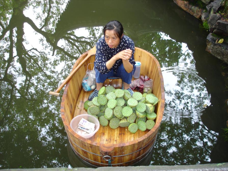 Venditrice di semi di loto