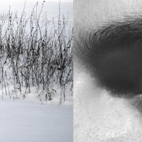 respiri, segni, silenzi,