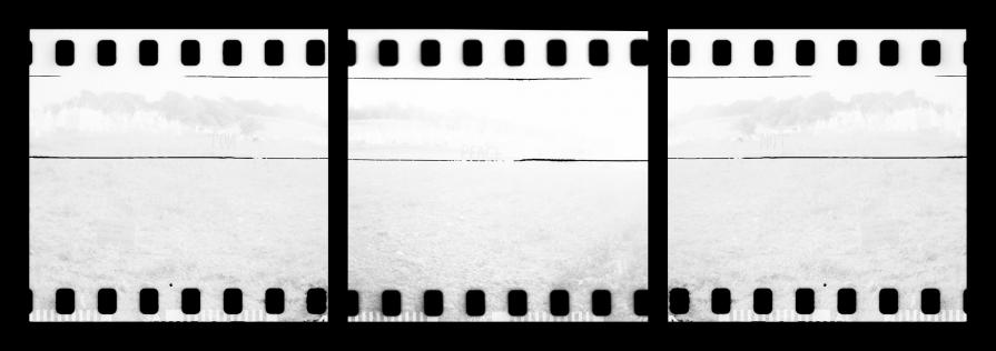 FOG IN OUR MINDS FOG IN OUR MINDS