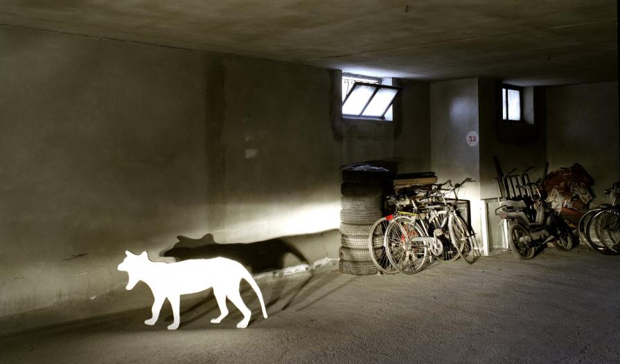 The Last Thylacine #1