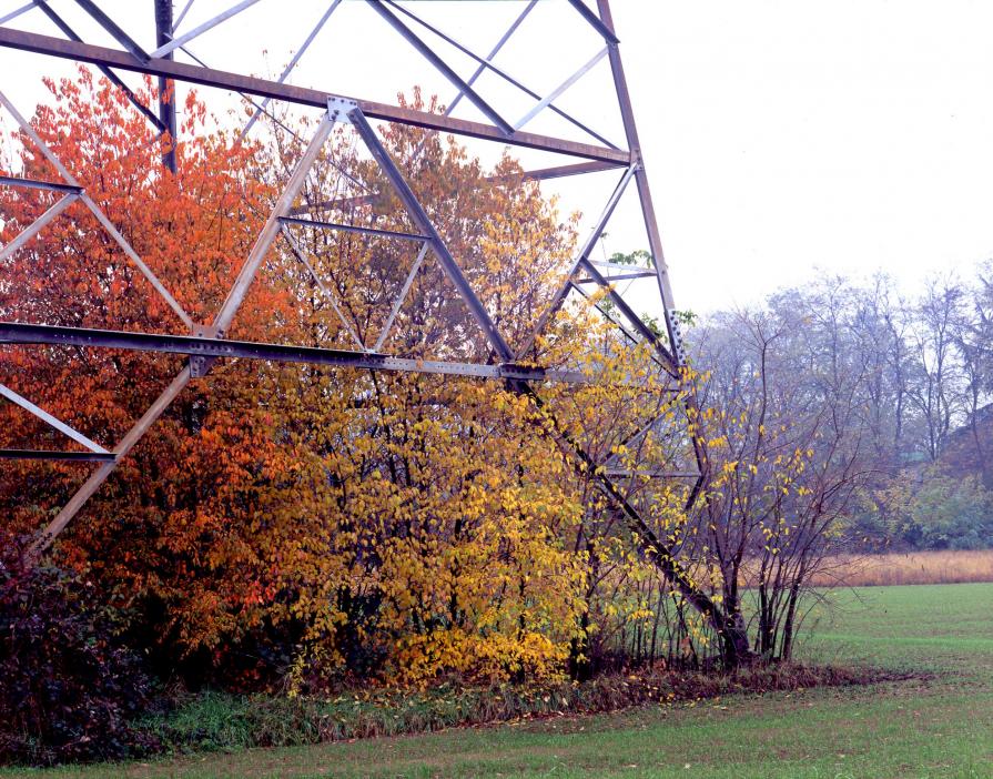 Natura Contro Corrente Natura Contro Corrente