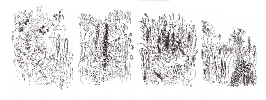 Jardim de Isabel Jardim de Isabel