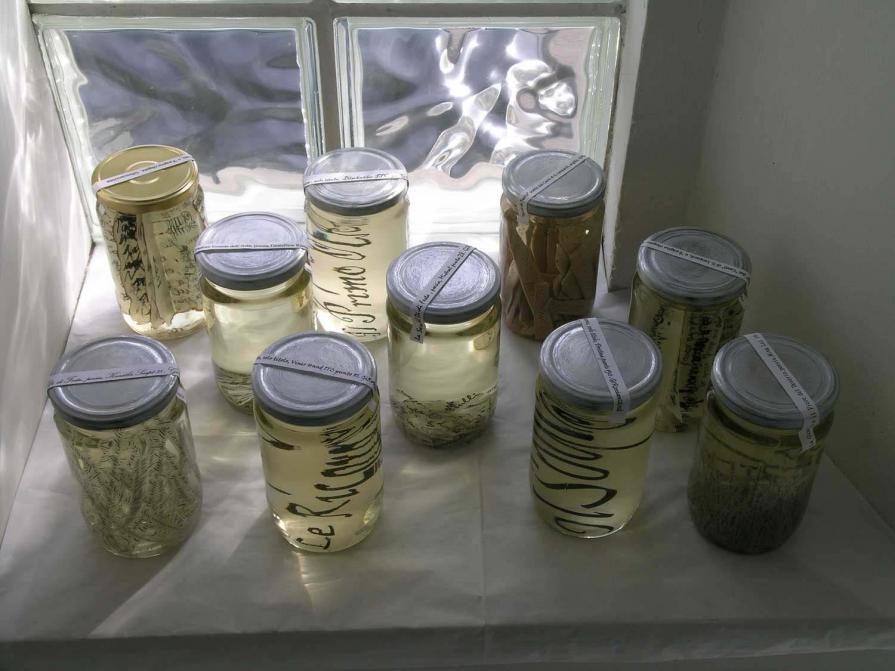 Infinite Erranze_parole e memoria