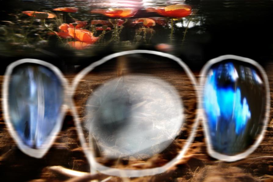 evadiamo dal evasione. coltiviamo una nuova civilta umana. evadiamo dal evasione. coltiviamo una nuova civilta umana.