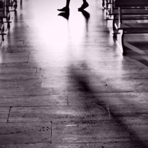 La fede e la ricerca 