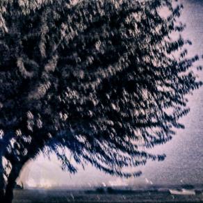 Così risorgerò domani 