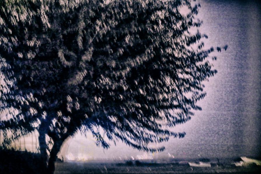 Così risorgerò domani 