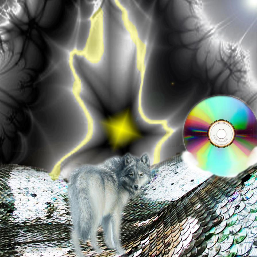 L'IMPORTANTE NON E' QUELLO CHE TROVI ALLA FINE DI UNA CORSA MA QUELLO CHE PROVI MENTRE STAI CORRENDO...!!!