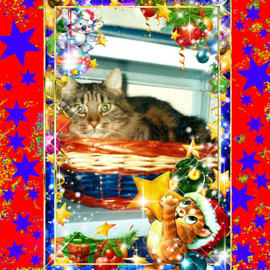 La Tenerezza è un'amore disinterezzato generoso che non chiede nient'altro che essere apprezzato !!!