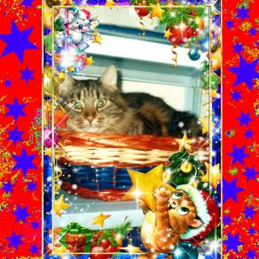 La Tenerezza è un'amore disinterezzato generoso che non chiede nient'altro che essere apprezzato !!!